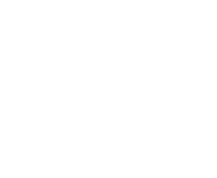 quotation marks